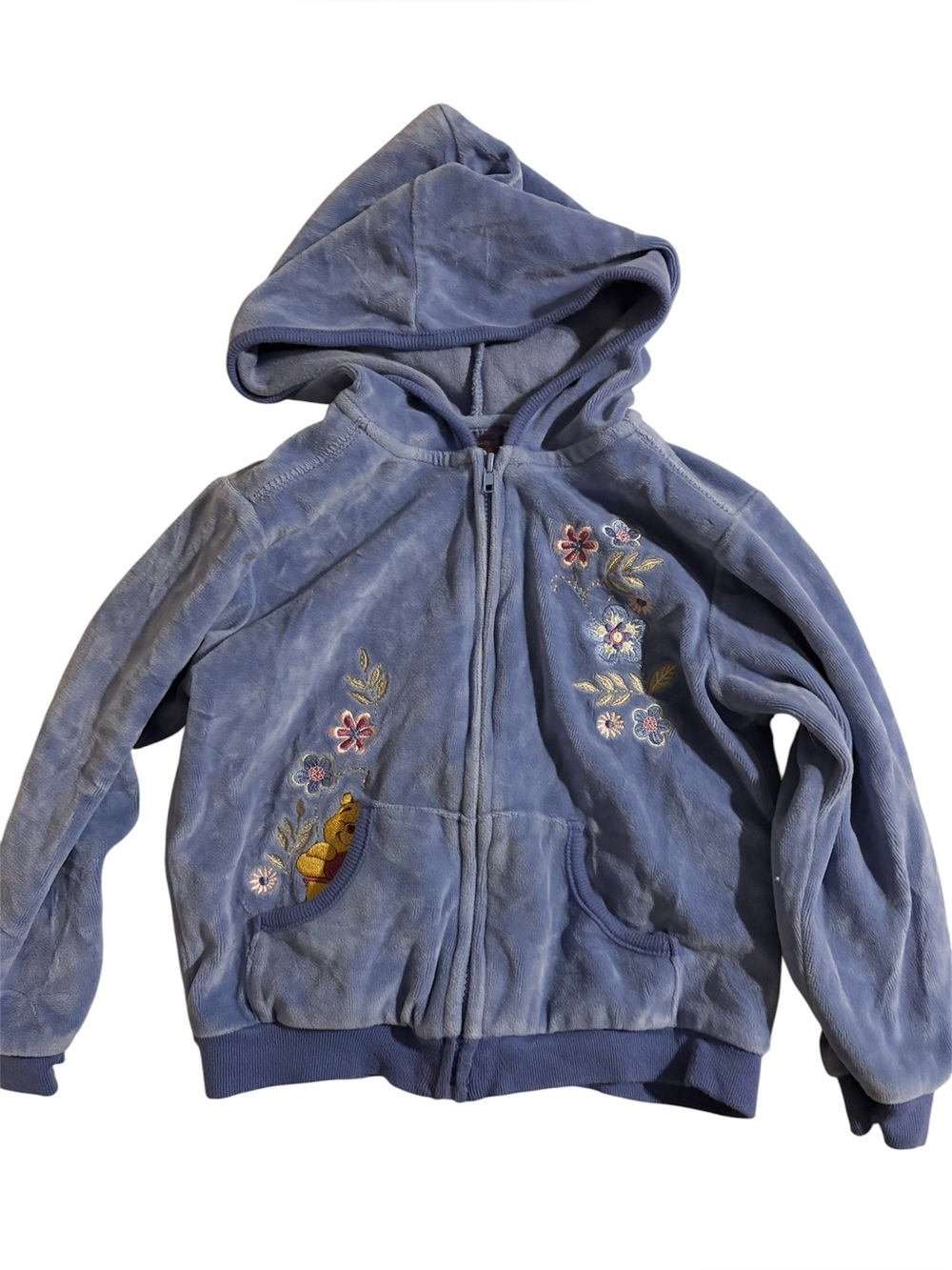 Vtg Winnie the Pooh 100 Acre Collection Velour Embroidered Hooded Sweatshirt 4T